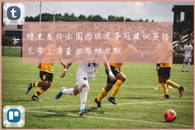 特里看好法国西班牙争冠建议英格兰带上马奎尔与帕尔默